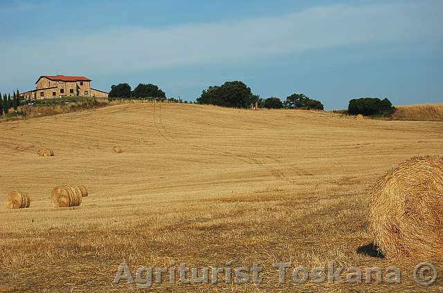 podere 016
